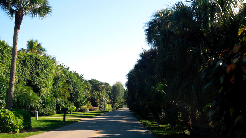 Florida Real Estate Road Photo